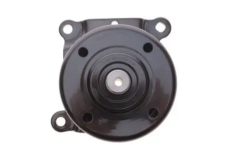 Ролик натяжний ременя генератора DP Group BE 1498