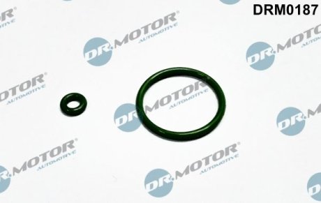 Ремкомплект форсунки 2 елементи DR.MOTOR DRM0187