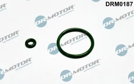 Ремкомплект форсунки 2 элемента DR.MOTOR DRM0187