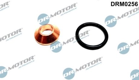 Ремкомплект форсунки 2 елементи DR.MOTOR DRM0256