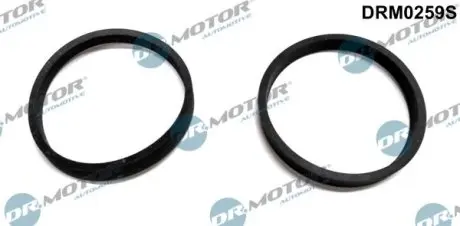 Комплект прокладок впускного колектора DR.MOTOR DRM0259S