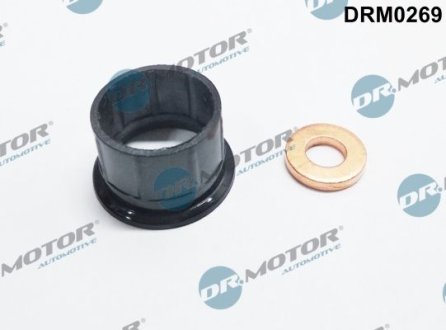 Ремкомплект форсунки 2 элемента DR.MOTOR DRM0269