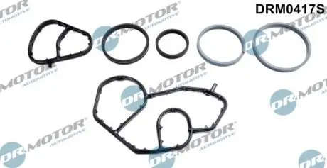 Комплект резиновых прокладок DR.MOTOR DRM0417S