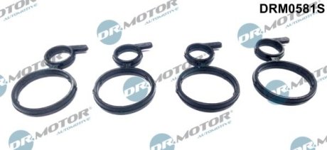 Прокладка корпус форсунки 4шт DR.MOTOR DRM0581S