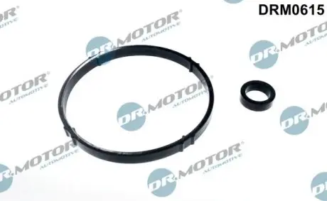 Комплект прокладок впускного коллектора 2 элемента DR.MOTOR DRM0615