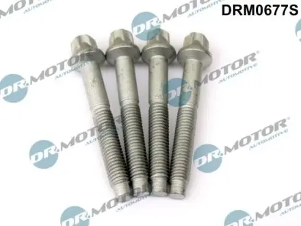 Комплект болтів з головкою системи TORX з чорного металу DR.MOTOR DRM0677S