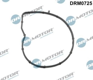 Прокладка помпы воды DR.MOTOR DRM0725