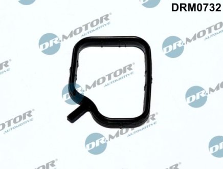 Прокладка фланця охолоджуючої рiдини DR.MOTOR DRM0732