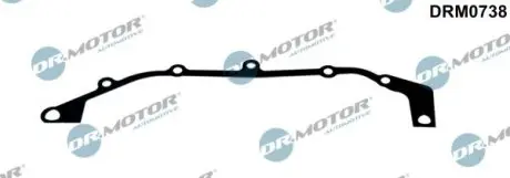 Прокладка, картер рулевого механизма DR.MOTOR DRM0738