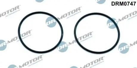Комплект прокладок помпи вакуумної, 2шт. DR.MOTOR DRM0747