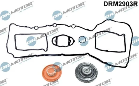 Комплект прокладок из разных материалов DR.MOTOR DRM2903R