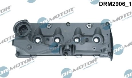 Кришка головки блоку циліндрів ДВЗ DR.MOTOR DRM2906 (фото 1)