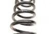 Комплект пружин підвіски EIBACH E10-20-040-02-22 (фото 7)