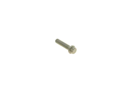 Болт с головкой системы TORX из черного металла ELRING 038.820