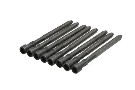 Комплект болтів з головкою системи TORX з чорного металу ELRING 057.450