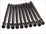 Комплект болтів з головкою системи TORX з чорного металу ELRING 305.430 (фото 1)