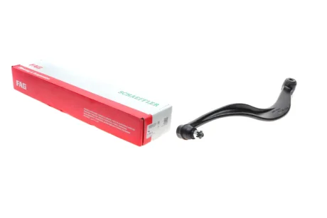 Рычаг подвески (задний/снизу) (R) Hyundai Santa Fe 01-06 FAG 821 0095 10