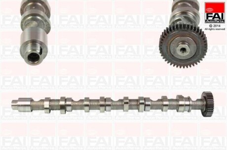 Розподільчий вал EX Audi A5 2.0 Tdi 08-/Skoda Fabia 1.6 Tdi 10-14/VW Golf Vi 2.0 Tdi 10-13 FAI AUTOPARTS C348