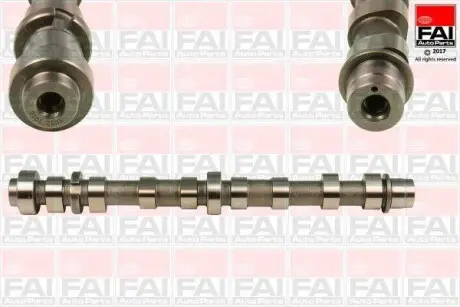 Розподільчий вал впускний FAI AUTOPARTS C358