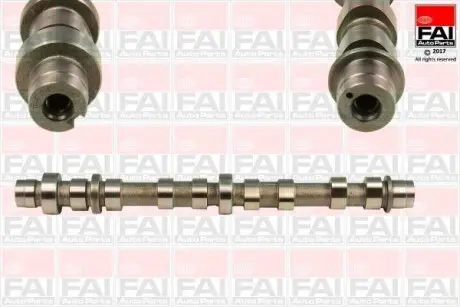 Розподільчий вал випускний FAI AUTOPARTS C359