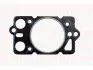 Прокладка ГБЦ Alfa VM492/HR924 (1CYL) 2! FAI AUTOPARTS HG515 (фото 1)