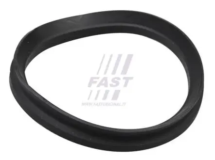 Пильник опорного підшипника FAST FT12192