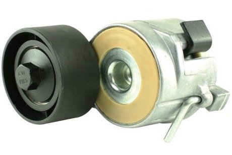 Натяжник поликлинового пояса Citroen/Peugeot/Fiat 1.4HDi, 1.6HDi/D Multijet, 2.2HDi 09.01- FAST FT44627