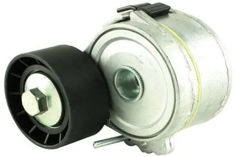 Натяжник ремня поликлинового Citroen/Peugeot 1.9D/2.0HDi 98- FAST FT44628