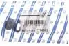 Фиксатор капота Fiat Doblo 00-09, Doblo 09-, Ducato 02-06, Ducato 06-14, Ducato 94-02 FAST FT96302 (фото 2)