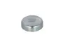 Заглушка двигуна d=34mm FEBI BILSTEIN 02543 (фото 1)