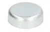 Заглушка двигуна d=28mm FEBI BILSTEIN 03202 (фото 1)