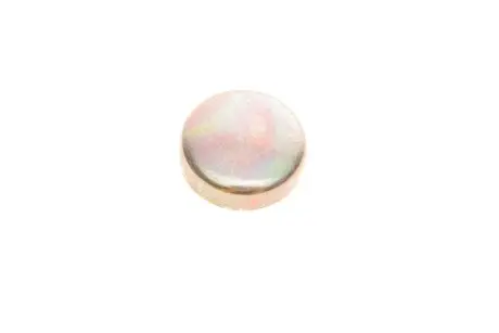 Заглушка двигуна d=36mm FEBI BILSTEIN 07294