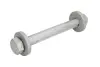 Болт ексцентриковий FEBI BILSTEIN 21560 (фото 1)