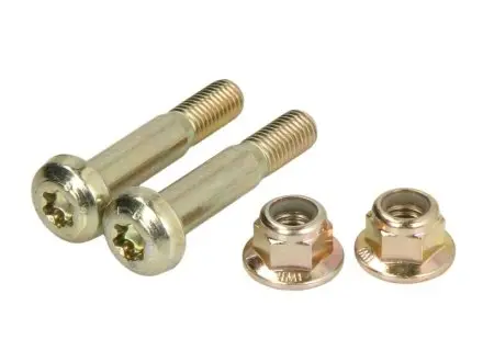 Комплект болтов (с внутренним шлицем Torx) FEBI BILSTEIN 45882