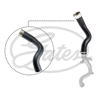 Патрубок інтеркулера Fiat 500L 12-/Tipo 1.3D 16- Gates 09-0501 (фото 1)