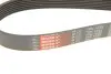 Ремень поликлиновый Gates 7PK1633 (фото 5)