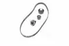 Комплект ГРМ (ремінь+ролік) Ford Focus 1.8 16v/2.0 16v/Mondeo II 1.6/1.8/2.0 98- Gates K015508XS (фото 2)