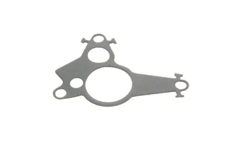 Прокладка насосу вакуумного GAZO GZ-A2171 (фото 1)