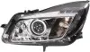 Фара основная, Би-Ксенон, лев, Opel Insignia A 07/08-&gt;07/13, без блока розжига HELLA 1ZT009631311 (фото 1)