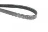 Ремень генератора (поликлиновый) HUTCHINSON 1210 K 5 (фото 4)