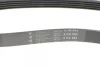 Ремінь генератора Toyota Rav 4 2.0 D 4WD 01-05 HUTCHINSON 885 K 5 (фото 4)