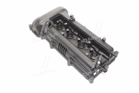 Клапанная крышка Hyundai/Kia/Mobis 224102B002