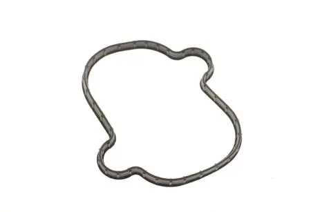 Прокладка ТНВД Hyundai/Kia/Mobis 224422G670
