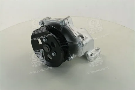 Насос системи охолодження Hyundai/Kia/Mobis 251002F700