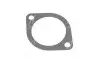 Прокладка термостата KIA CARENS II 02 (2002-2006) Hyundai/Kia/Mobis 25633-23010 (фото 1)