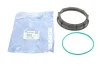 Кришка насосу паливного Renault Megane/Laguna 1.5-2.0 02-08 (+ кільце) IMPERGOM 25202 (фото 1)