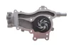Комплект ременя генератора + помпа Opel Astra J/Corsa D 09-15 (5PK1335) INA 529 0295 30 (фото 4)