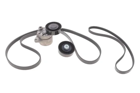 Комплект дорожных поясов INA 529043910