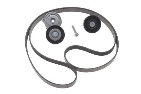 Комплект ремня генератора Audi A4/A6 04-11 (6PK2413) INA 529 0509 10