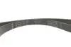 Комплект ремня генератора Ford Fiesta/Focus 1.0 EcoBoost 19- (6PK1179) INA 529 0569 10 (фото 6)
